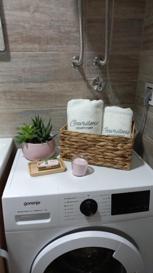 Apartment Gavrilovic
