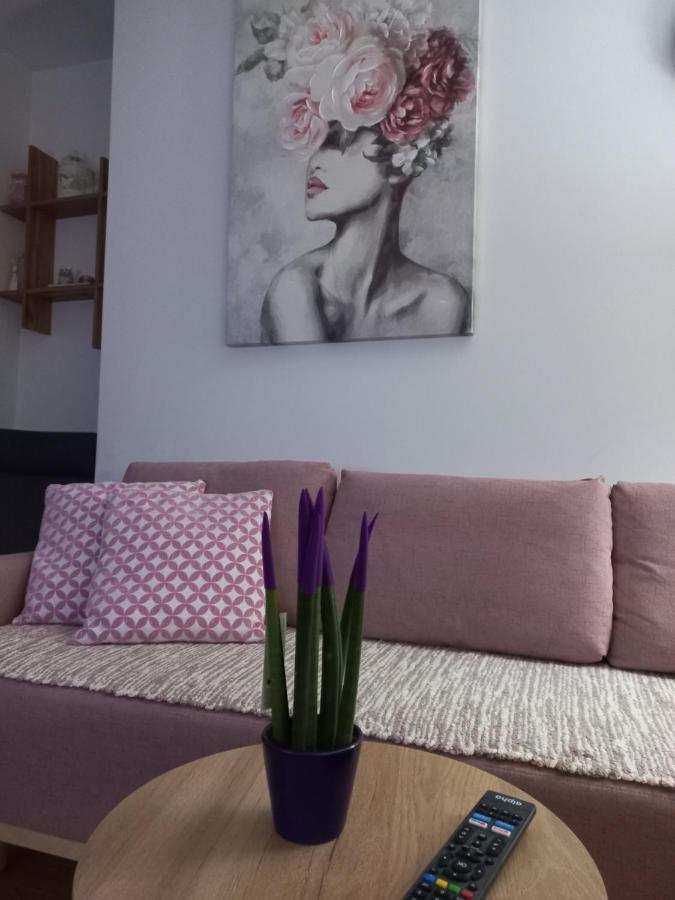 Gavrilovic Apartment Zlatibor