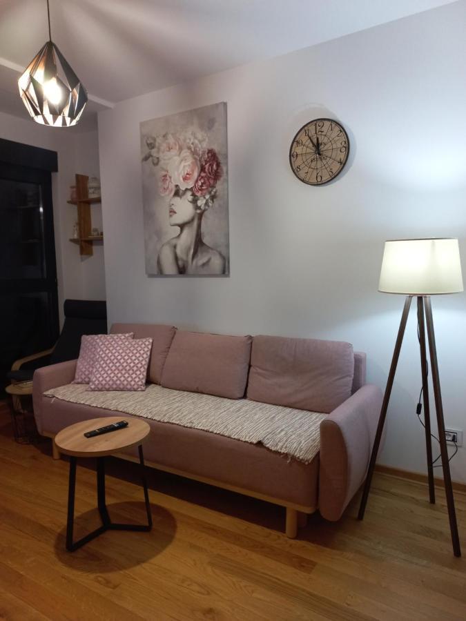 Gavrilovic Apartment Zlatibor